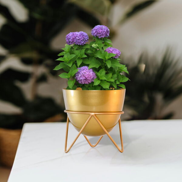 Gold Metal Bowl Planter Tripod Stand