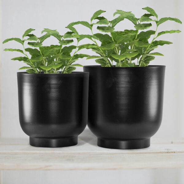 Matte Black Metal Planters with Pedestal Base (Set of 2)