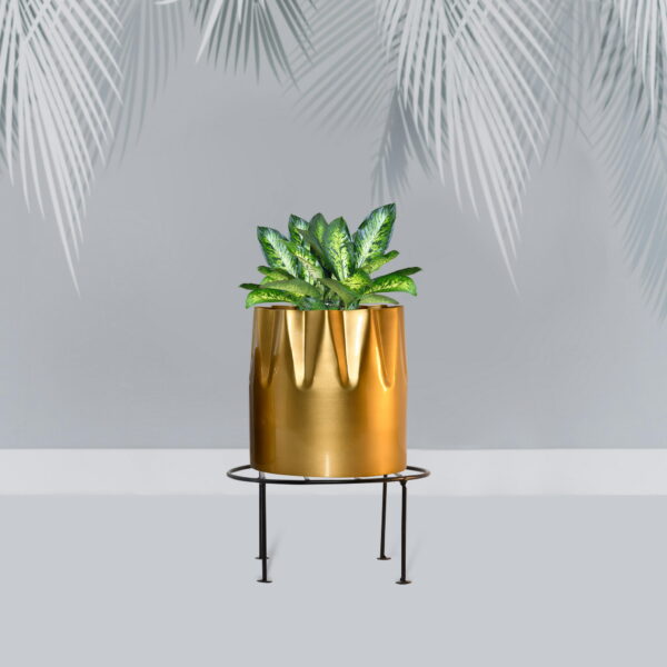 Minimalist Black Metal Plant Stands (Set of 2)