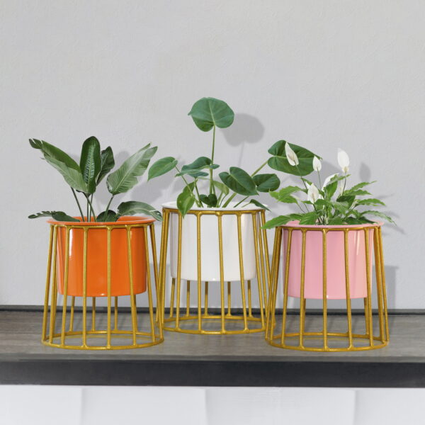 Set of 3 Colorful Mini Planters with Gold Cage Stands