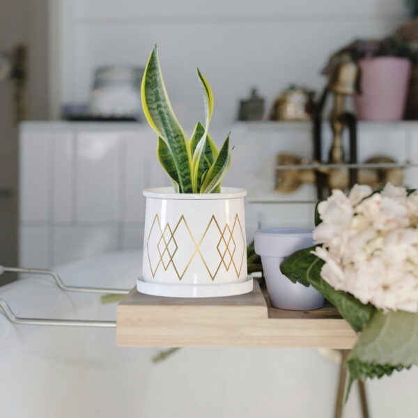 Geometric Gold Diamond Print Planter with Tray