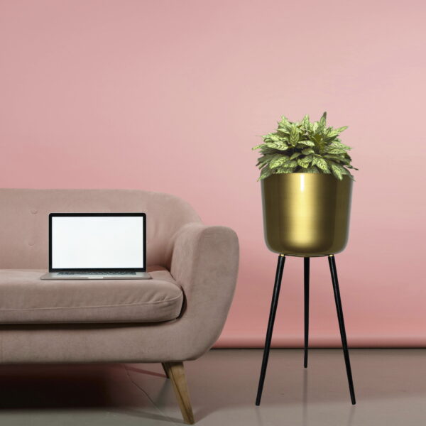 Modern Gold Metal Pot with Black Aluminium Legs – 59 cm Tall Indoor Planter